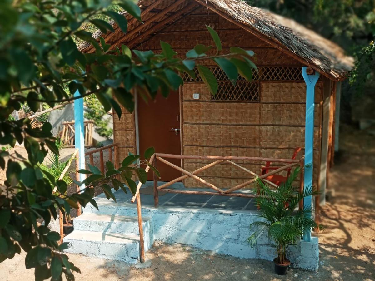 Hampi Nature Cottage Εξωτερικό φωτογραφία