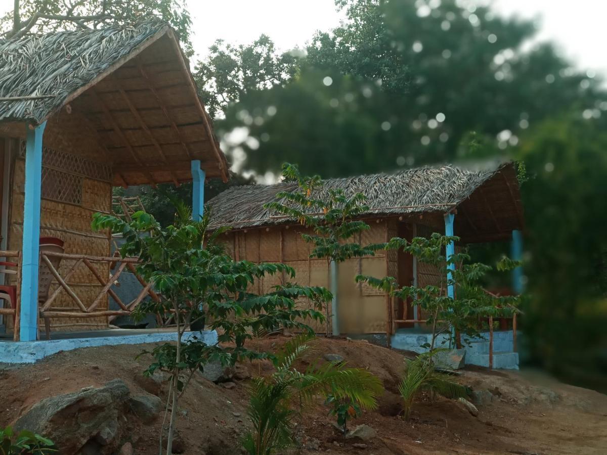Hampi Nature Cottage Εξωτερικό φωτογραφία