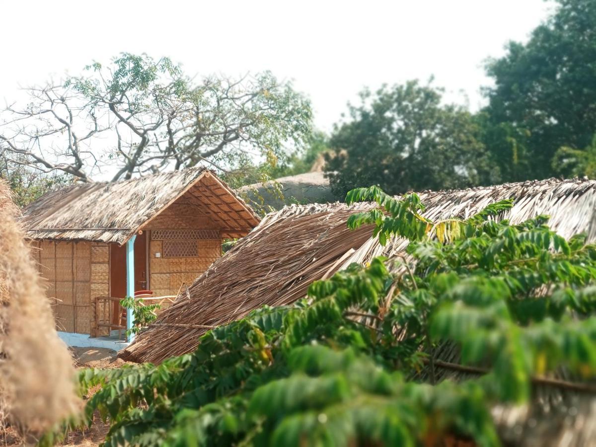 Hampi Nature Cottage Εξωτερικό φωτογραφία